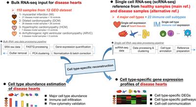 Deciphering Cell-Type-Specific Gene Expression Signatures of Cardiac Diseases Through Reconstruction of Bulk Transcriptomes